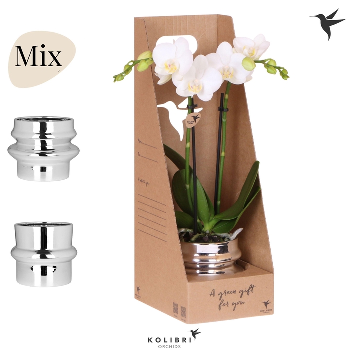 <h4>Kolibri Gift Set small Chrome</h4>