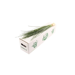 Beargrass X20 Air