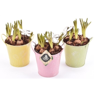 Zink emmer decor 12cm