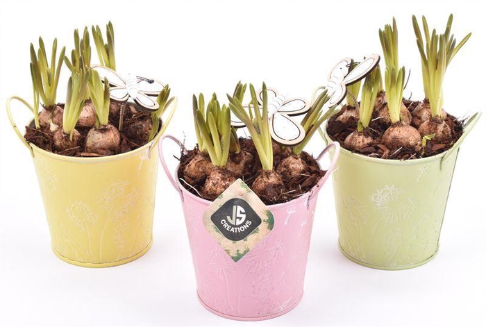 <h4>Zink emmer decor 12cm</h4>