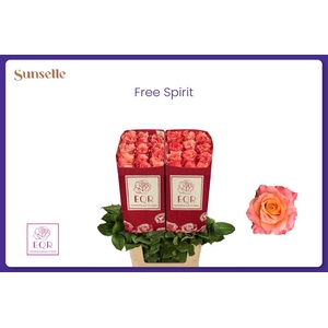 R GR FREE SPIRIT