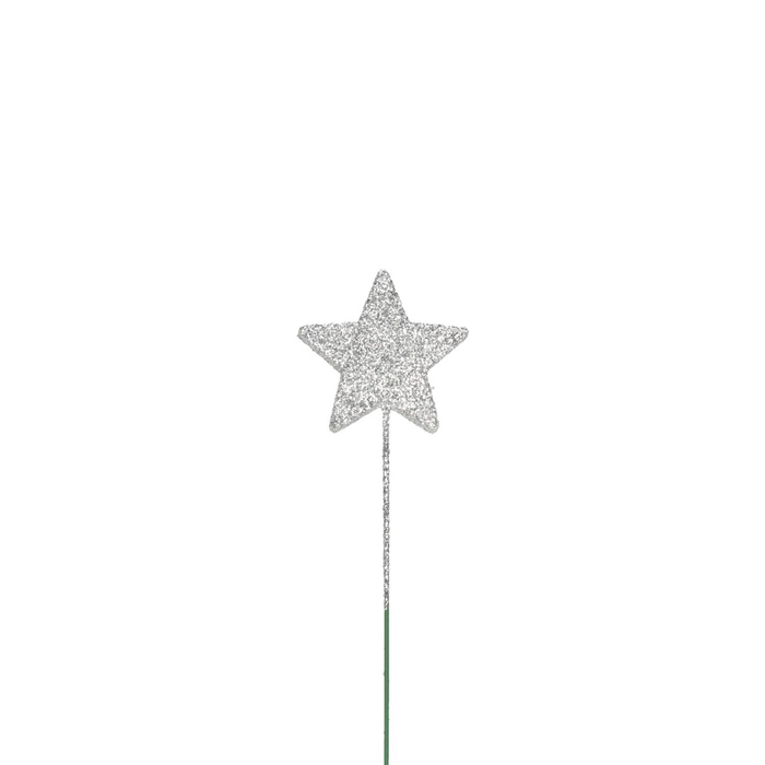 <h4>Christmas Deco star/wire 40mm x60</h4>