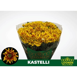 CHR T KASTELLI