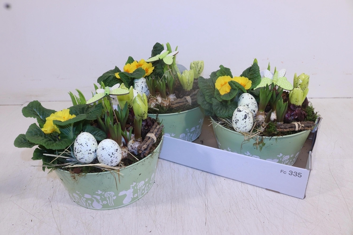 <h4>ARR TUINPLANTEN</h4>