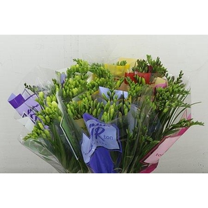 FR EN TON SUR TON GEM