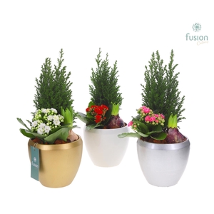 Keramiek pot met arrangement