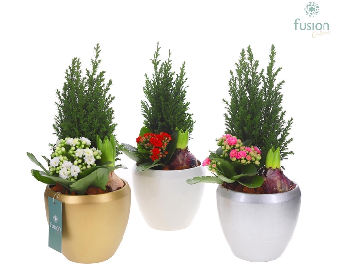 <h4>Keramiek pot met arrangement</h4>