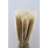 Dried Cortaderia Dadang Bleached 120cm P Stem