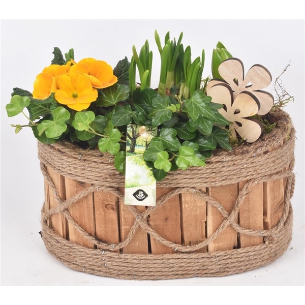 <h4>Hout ovaal touw decor 26x16cm</h4>