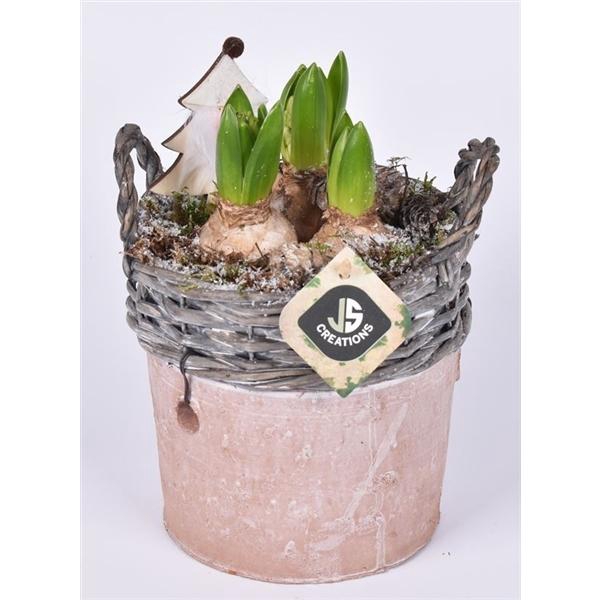 <h4>Wilg rand met terra pot 16cm</h4>