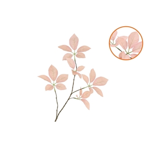 Silk Leaf Elder Champagne 81cm Nm