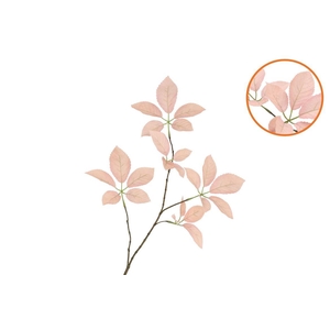 Silk Leaf Elder Champagne 81cm Nm