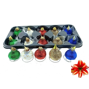 BLOEMBOL HIPPEASTRUM