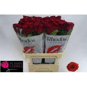 R Gr Rhodos