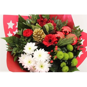 Boeket Germini Kerst Rood
