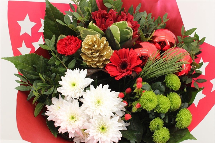 <h4>Boeket Germini Kerst Rood</h4>