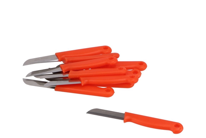 Floristry Knife Oranje P/10