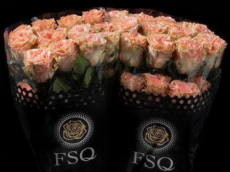 <h4>R Gr Happink</h4>