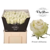 R GR FROST ATHENA