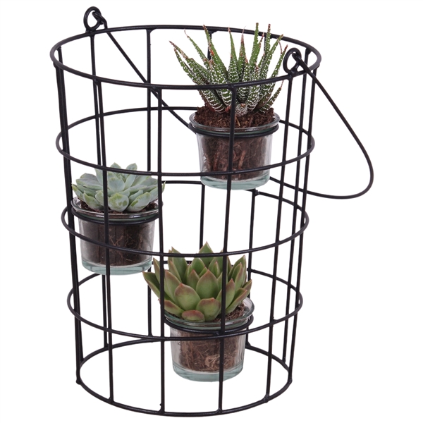 <h4>Succulent Metal Wirebasket With Glass 18cm 3pp</h4>