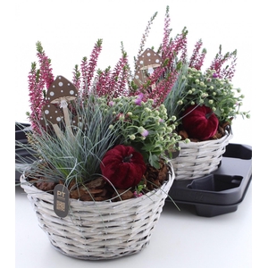 ARR GARDEN BASKET WHITE X2