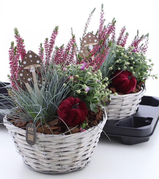 <h4>ARR GARDEN BASKET WHITE X2</h4>