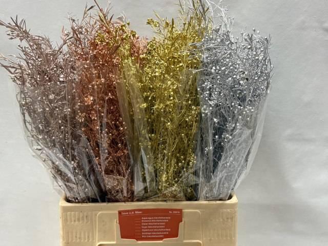 <h4>CHAME OV KLB H%</h4>