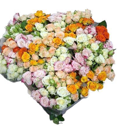 <h4>R Tr Gemengd</h4>