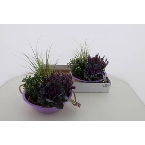 ARR TUINPLANTEN