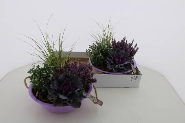 <h4>ARR TUINPLANTEN</h4>