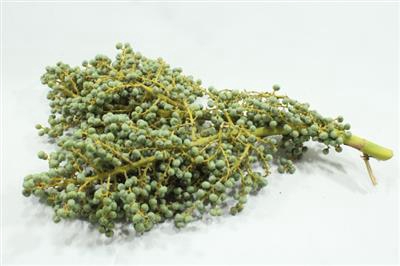 <h4>DADELTAKKEN per KG TAK</h4>