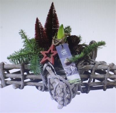 <h4>5886 AMAR STER XXL</h4>