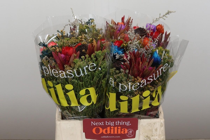 <h4>BQ Kaaps Groen Mandarin</h4>