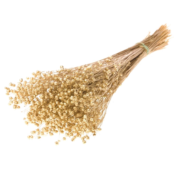 <h4>Linum Gold</h4>