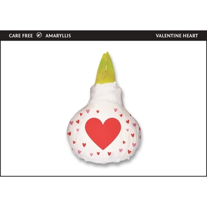 A.BULB of Art - 36cm Valentine Heart