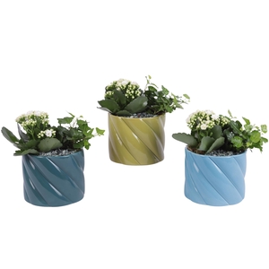 Yearround Arr. Indoor Ceramic Fresh Breeze FB674 Ø14cm 2PP