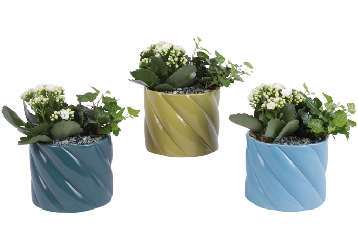 <h4>Yearround Arr. Indoor Ceramic Fresh Breeze FB674 Ø14cm 2PP</h4>