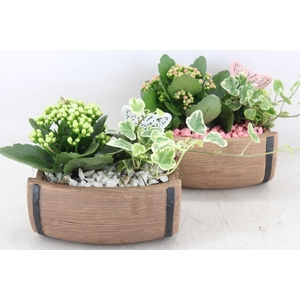 arr2 PL - Ker. ton liggend 250/4 - roze/wit