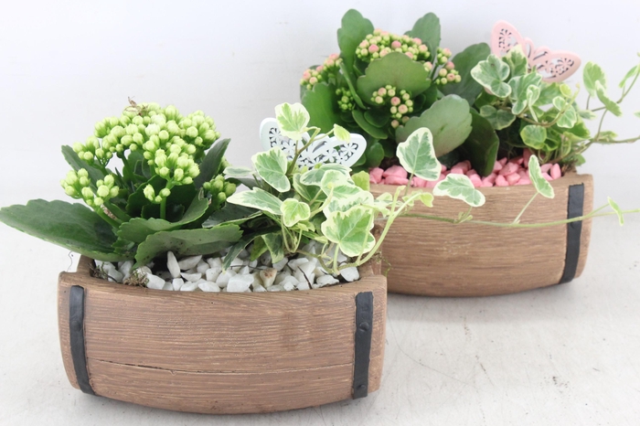 <h4>arr2 PL - Ker. ton liggend 250/4 - roze/wit</h4>