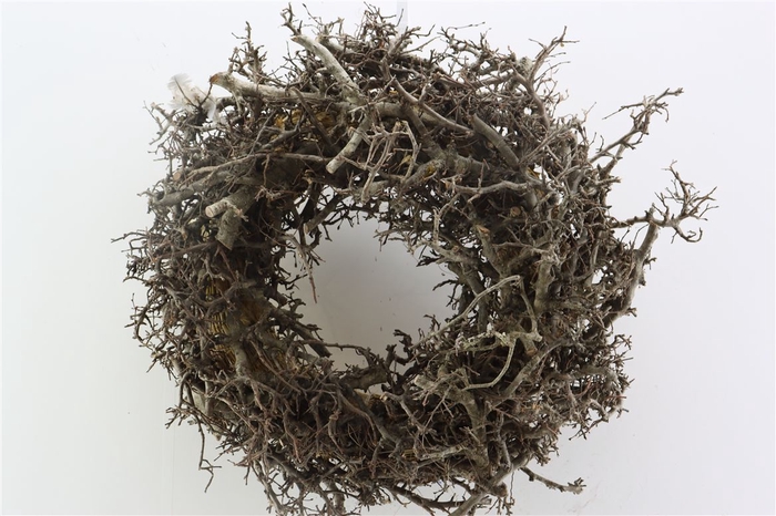 <h4>Wr Bonsai 45cm Naturel</h4>