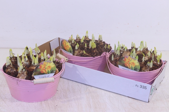 <h4>ARR N TETE A TETE</h4>