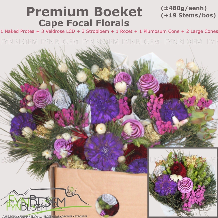 <h4>PROTEA PER BOS</h4>