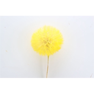 Pres Puste Flower Yellow