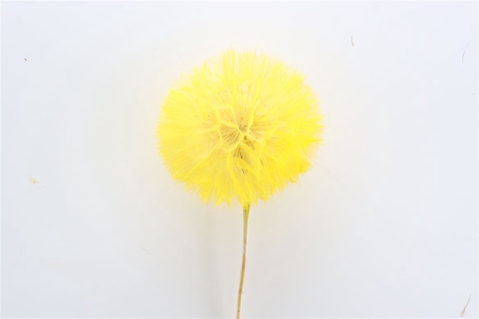 <h4>Pres Puste Flower Yellow</h4>