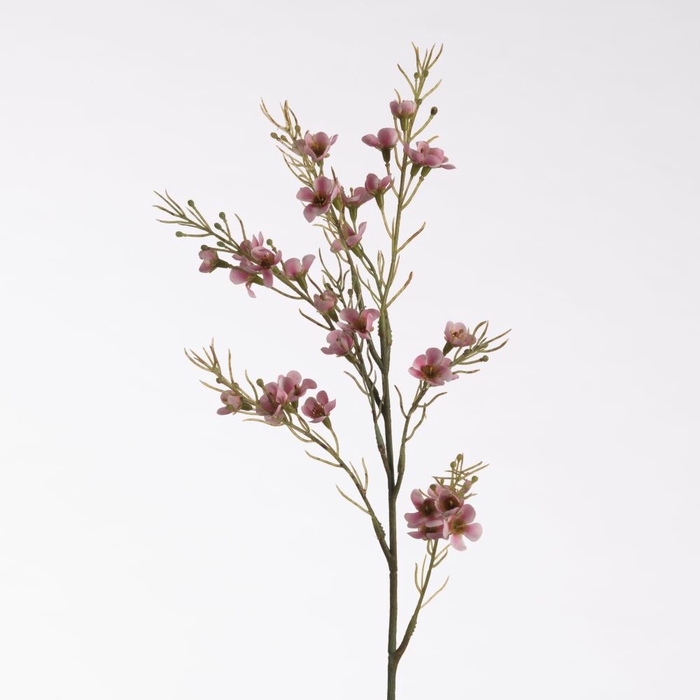AF Wax Flower L69cm Pink