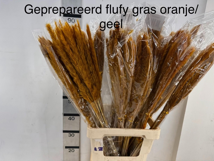 <h4>DECOGROEN OV</h4>