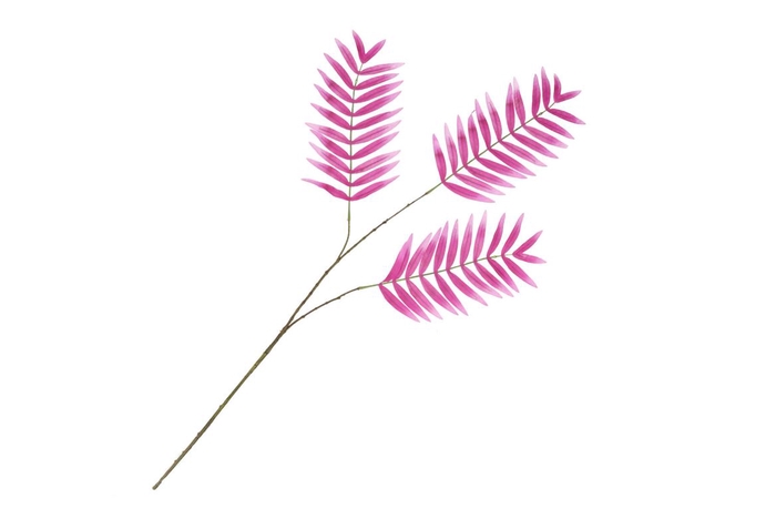 <h4>Silk Palm Leaf Fuchsia 87cm Nm</h4>