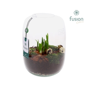 Green Bottle Isabella Large Pasen met Narcissen