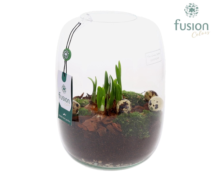 <h4>Green Bottle Isabella Large Pasen met Narcissen</h4>