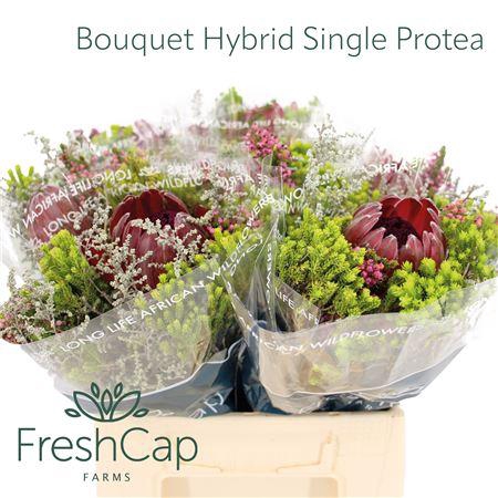 <h4>Bouquet Hybrid Single Protea</h4>